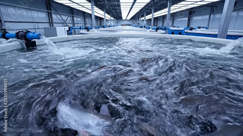 Modern indoor aquaculture facility featuring rows of large circular breeding tanks with flowing water and active fish, showing industrial water circulation pipes and lighting systems.