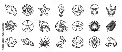 Sea life and ocean creatures icons set. Marine animals and plants. Shells, starfish, seahorse, jellyfish. Underwater nature symbols. Outline line art style
