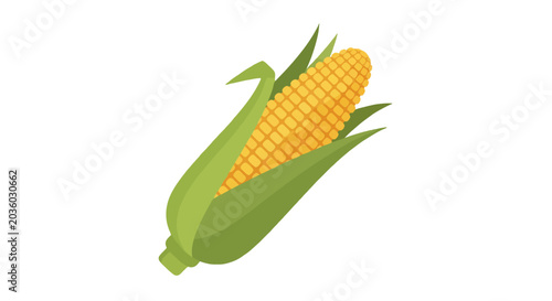 Bild auf Leinwand Tilted sweet corn cobs and leaves on a white background