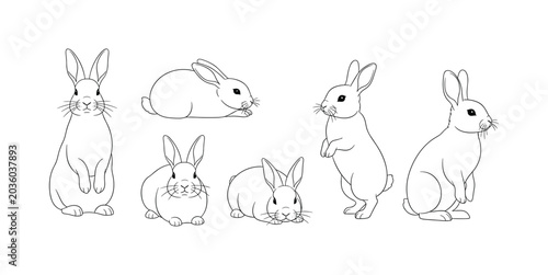 Set of six rabbits in various poses, fluffy little creatures.