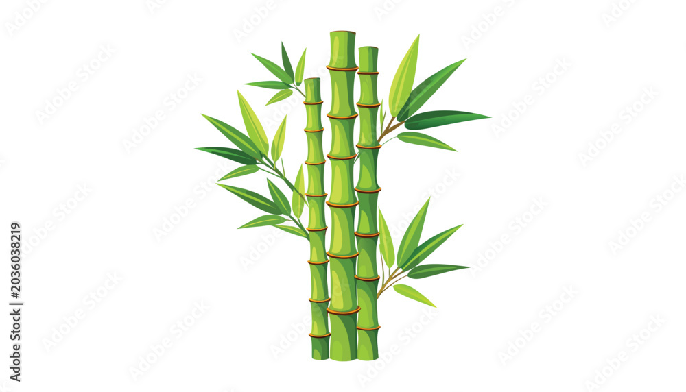 Fototapeta premium bamboo tree clipart vector illustration