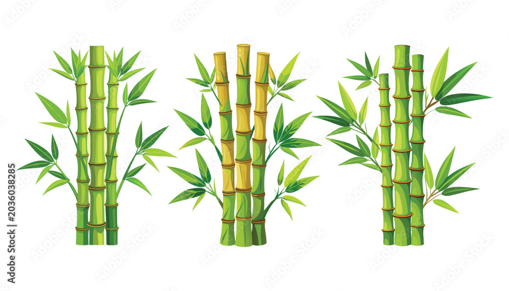 Obraz premium set of bamboo tree clipart vector illustration
