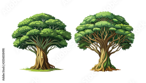 Tableau sur toile two Banyan trees clipart vector illustration