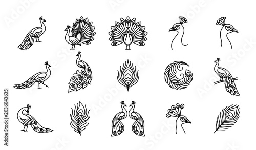 Minimalist peacock line art icons for luxury branding identity vector set