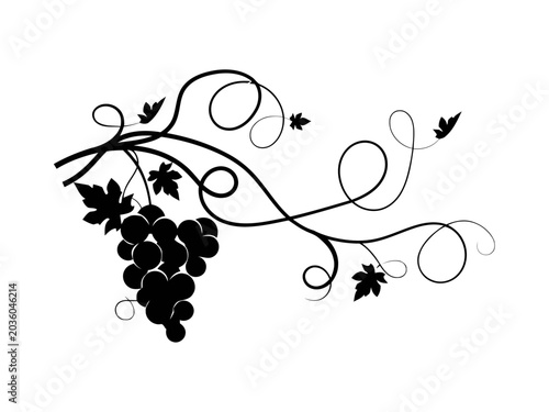 Elegant Black Silhouette of Grapevine with Leaves and Tendrils