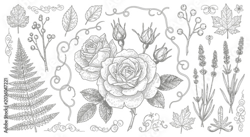 Hand Drawn Floral Set with Roses Ferns and Lavender