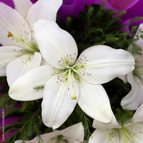 A close-up of white lilies surrounded by purple wrapping and green foliage