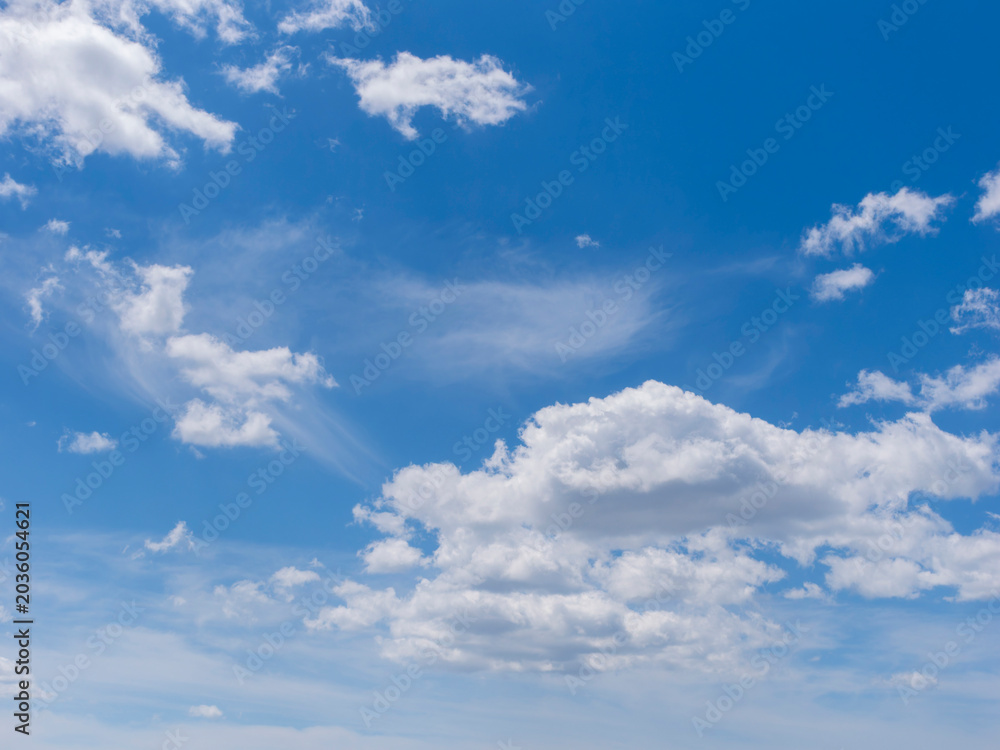 Fototapeta premium 青空と白い雲