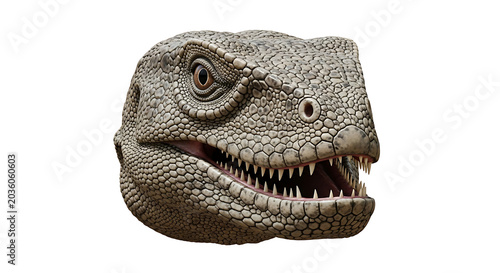 Isolated dinosaur head close up, roaring with sharp teeth on white background