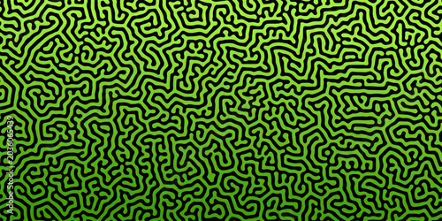 Bilde på lerret Turing reaction diffusion monochrome seamless pattern with chaotic motion