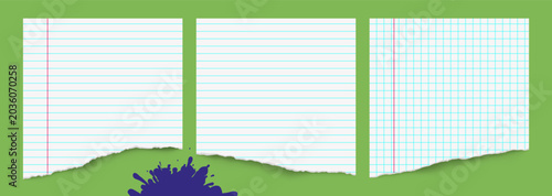 Set of torn notebook pages with lined, grid and blank paper layouts, margins, portrait templates and planner sheets for school, journaling, collage and stationery design.