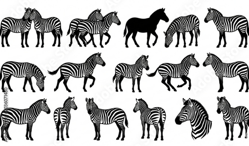 Photography African zebra silhouette illustration collection with black wildlife vector desi