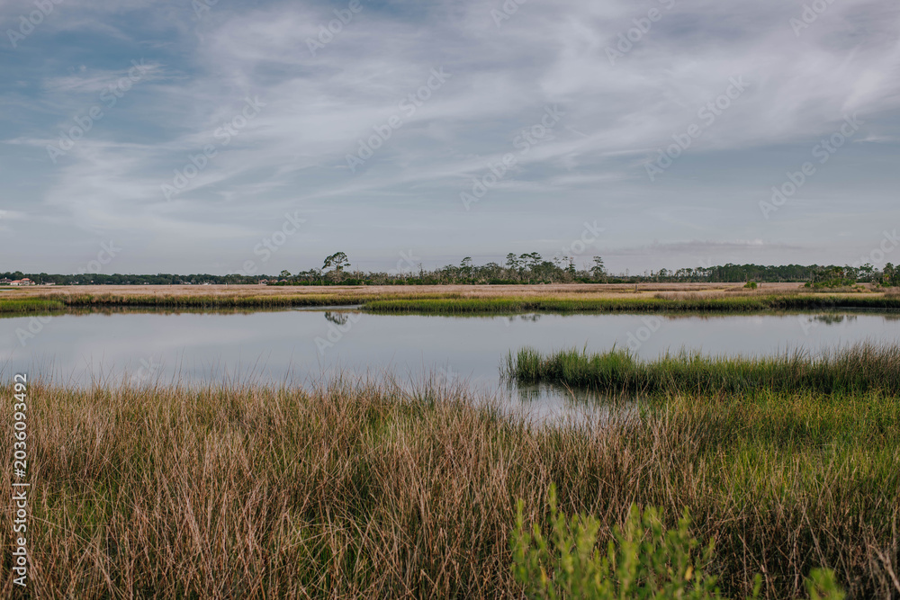 Obraz premium Peaceful coastal wetland under a cloudy sky