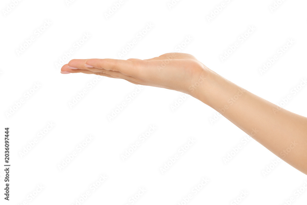 Fototapeta premium Palm up gesture shows invitation for interaction, PNG