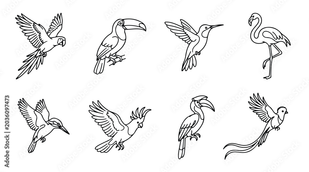 Obraz premium Tropical bird line art icons, set of 8 exotic bird vector illustrations, minimalist black and white parrot flamingo and toucan sketches for coloring