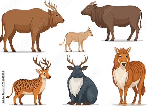 Photography Wild Animals Standing Isolated on White Background