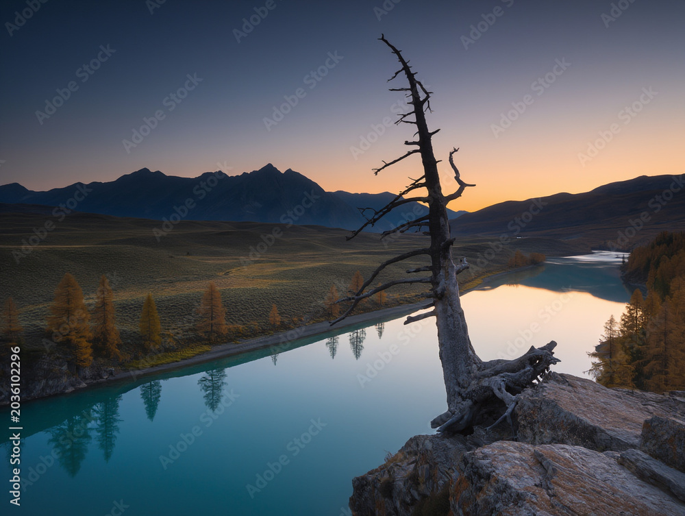 Obraz premium Lone dead tree overlooks a misty turquoise mountain lake at dawn with a warm glowing sunrise.
