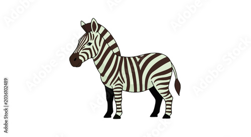 Zebra profile and back with black and white stripes