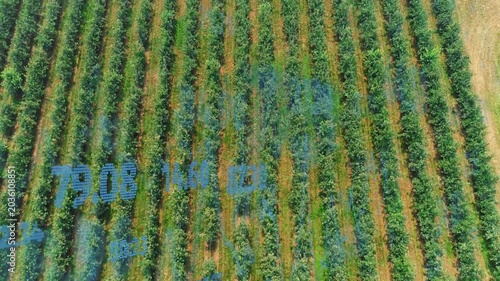 Camera drifting down, blue telemetry overlays updating, overlapping crop rows for monitoring