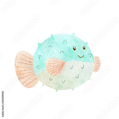 Fotografie Watercolor sea fugu fish illustration