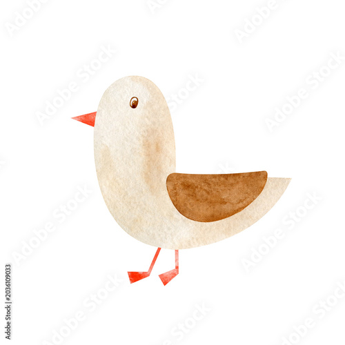 Watercolor sea gull illustration. Drawing of marine for or greeting cards. Art of sea animal for childish design on isolated background.