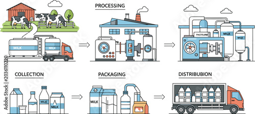 Milk Production And Distribution Process Vector Illustration Featuring Dairy Collection Processing Packaging And Delivery Workflow
