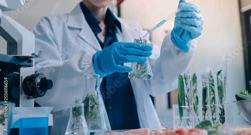 Foto Scientists in lab coats work with plants in a modern lab, focusing on research and experimentation under bright, sterile conditions
