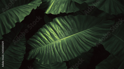 Abstract green textures blending with nature, evoking an environmental and serene mood.