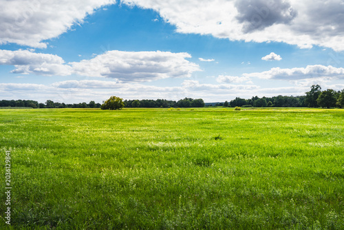 фотографія lowland landscape with meadows of the vast Bug River valley in the lubelskie voi