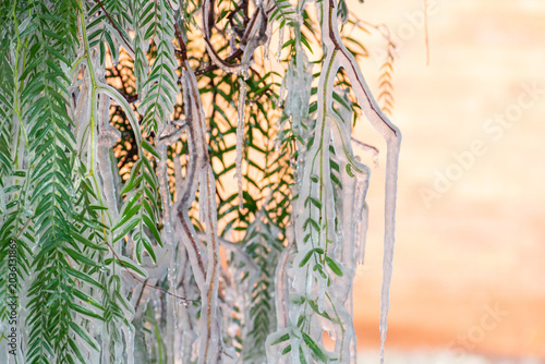 Quadro su tela Frozen Tree Branches Leaves Encased in Ice Winter Frost Karoo South Africa Clima