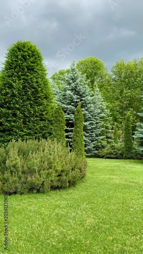 garden in the park
