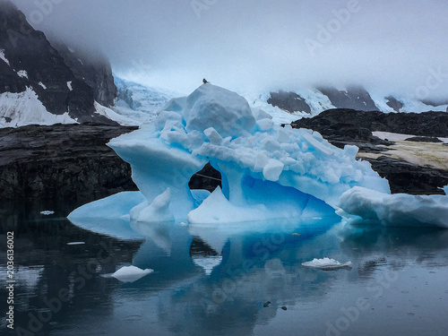 The scene depicts several crabeater seals (Lobodon carcinophaga) resting on a floating ice floe in Antarctic waters.