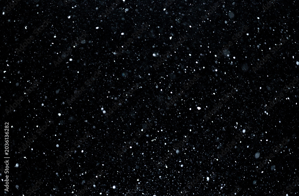 Fototapeta premium Snowfall winter overlay with drifting particles. Snowflakes floating on transparent background. Realistic snowstorm effect with motion. Snow texture overlay with cold atmosphere. Snow particles scene.