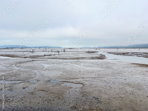 Mudflat Landscape