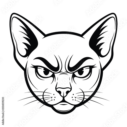 Photos Angry cat face illustration with eyebrows