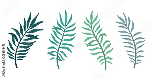 Set with palm leaves