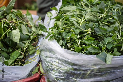 Obraz na płótnie Fresh green spring herbs displayed in a plastic bag at a traditional market in South Korea