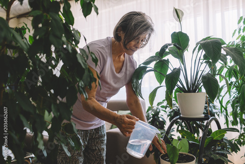 Senior woman watering houseplants indoors