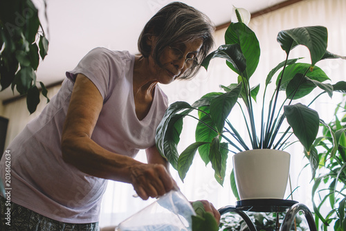 Elderly woman watering flowers 