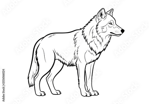 Detailed illustration of a wolf standing profile view, majestic canine creature, wild animal drawing, black and white art