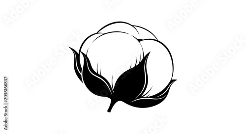 Photos Cotton Boll Vector Illustration