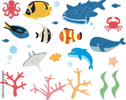 海の生き物　シンプル可愛い