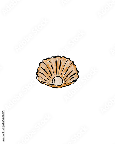 Scallop shell, seashell illustration, ocean icon, beige shell