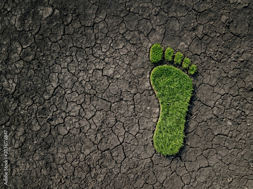 Carbon Footprint Conceptual Footprint Shape Earth Environment