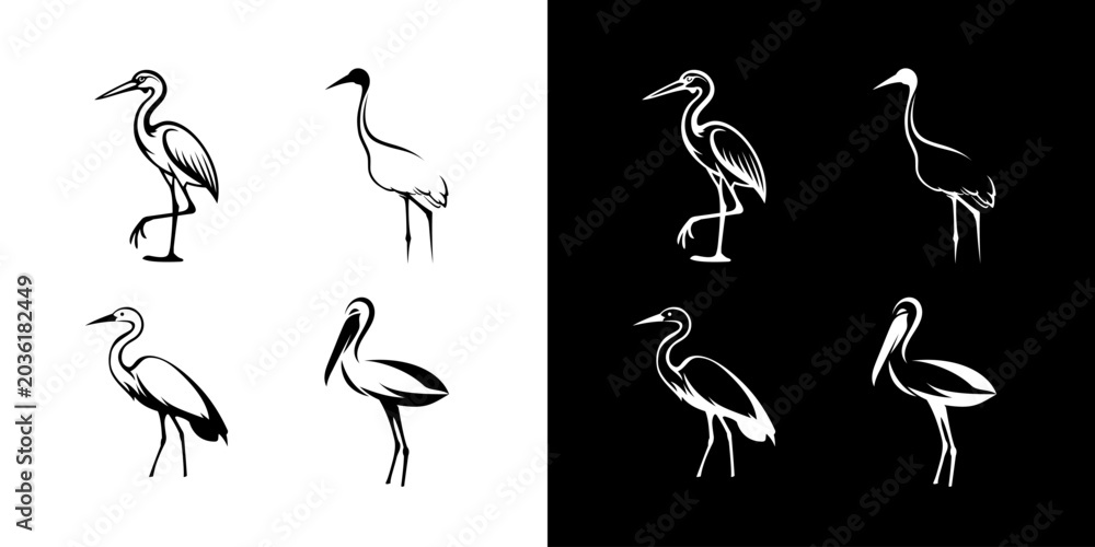 Obraz premium Stork bird set isolated graphic