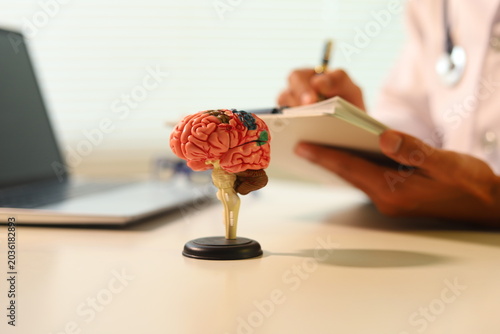 Anatomical human brain model sits on a bright desk. In the blurred background, a focused medical professional wearing a white coat writes patient notes on a clinic clipboard.