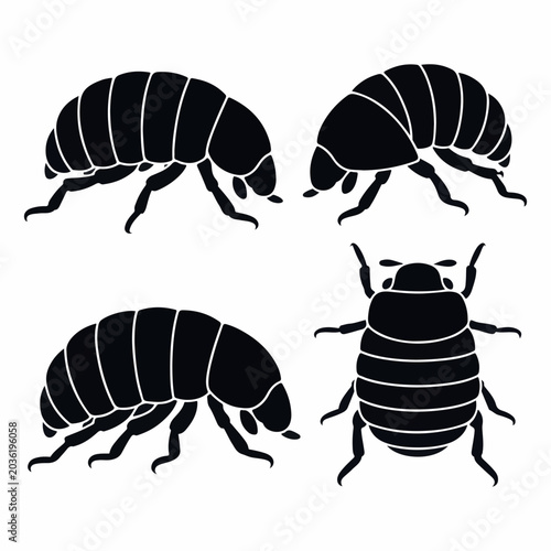 Black Silhouettes of Pill Bugs and Beetle on White Background roly poly woodlouse