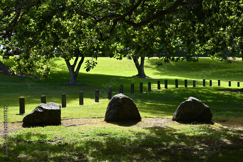 Sunlit Park with Trees and Large Rocks
