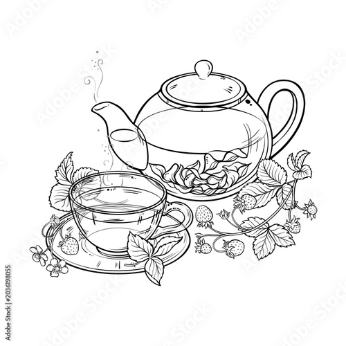 Strawberry Tea in Teapot aroma beverage Outline Illustration. Vector isolated for Design and Decoration for Cafeteria, Posters, Banners, Cards.
