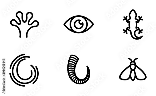 Canvas-taulu Minimalist Nature Icons: Paw Print, Eye, Lizard, Swirl, Shell, Moth Vector Set